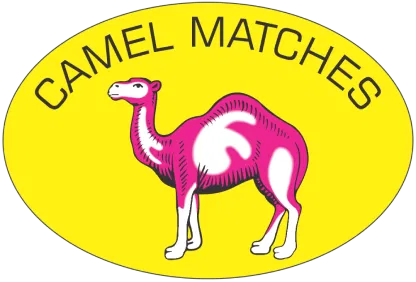 footerlogo camelmatch