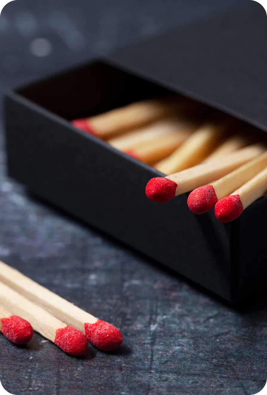 matchproces camelmatch