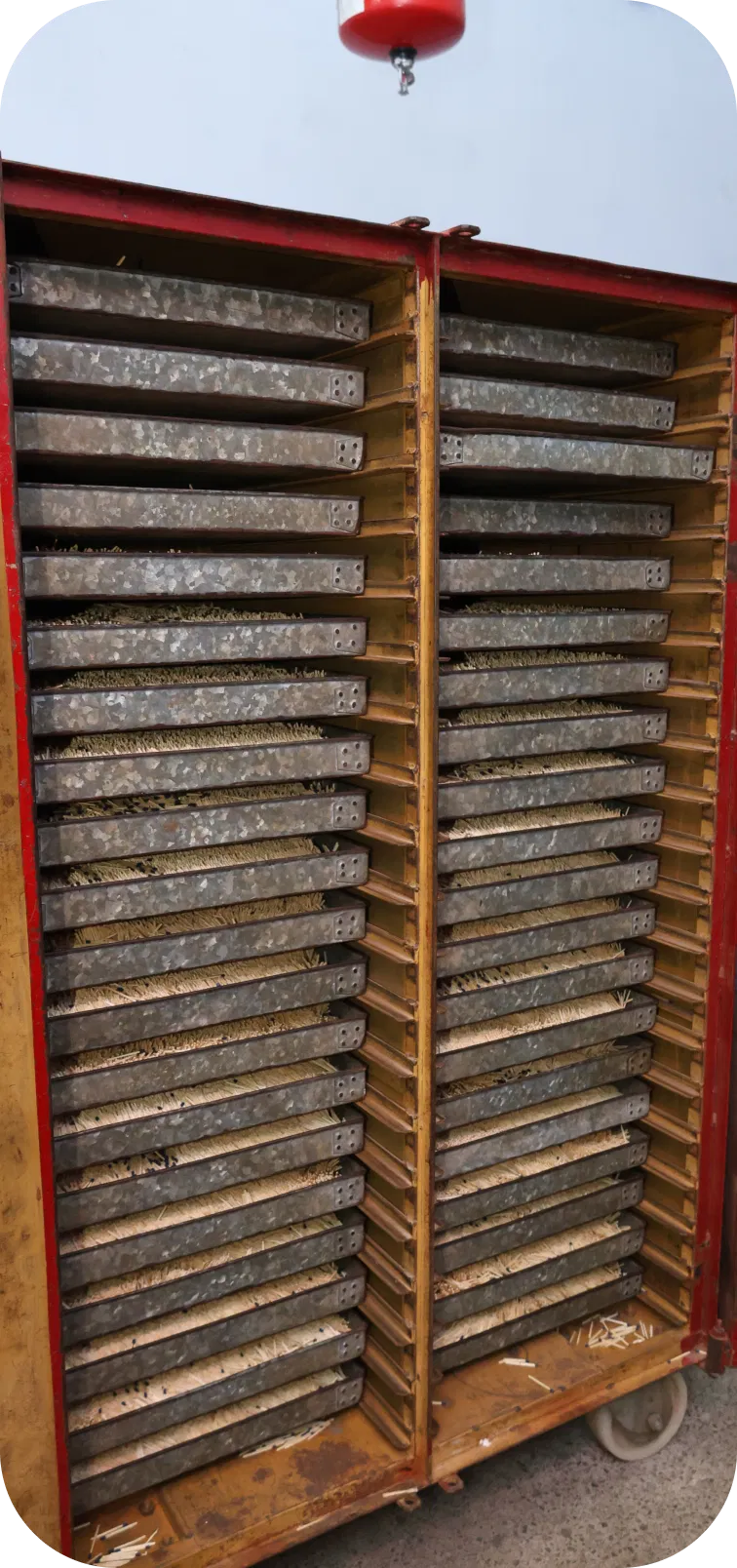 servicebox camelmatch