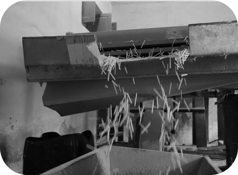 serviceset camelmatch