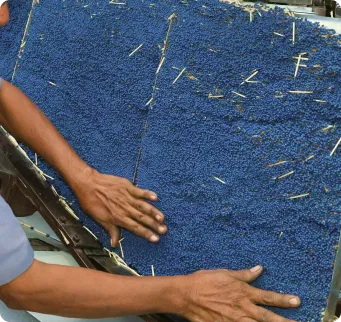 slidemachine camelmatch